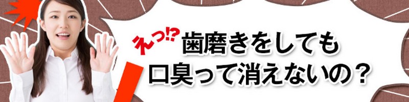 ypI[NX^[E[z

TCg